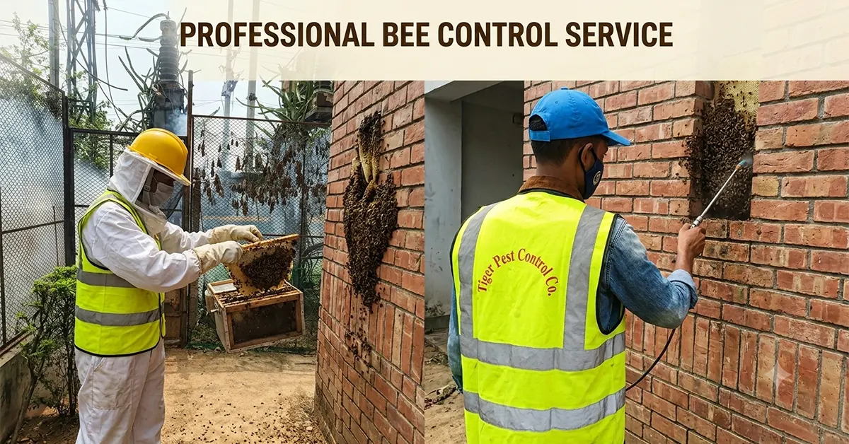 hornet control service dhaka