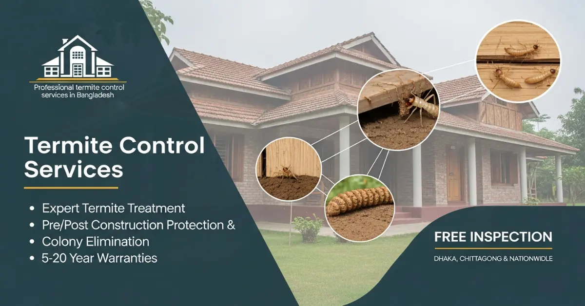 Termite Inspection & Treatment