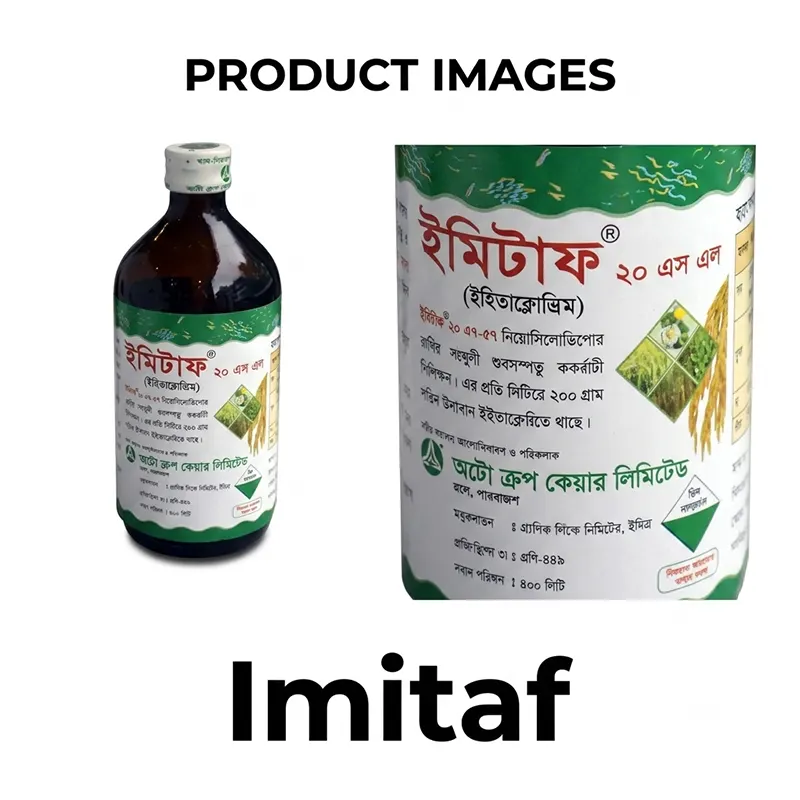 Imitaf® 20 SL: Effective Sucking Pest Control for Crops in Bangladesh